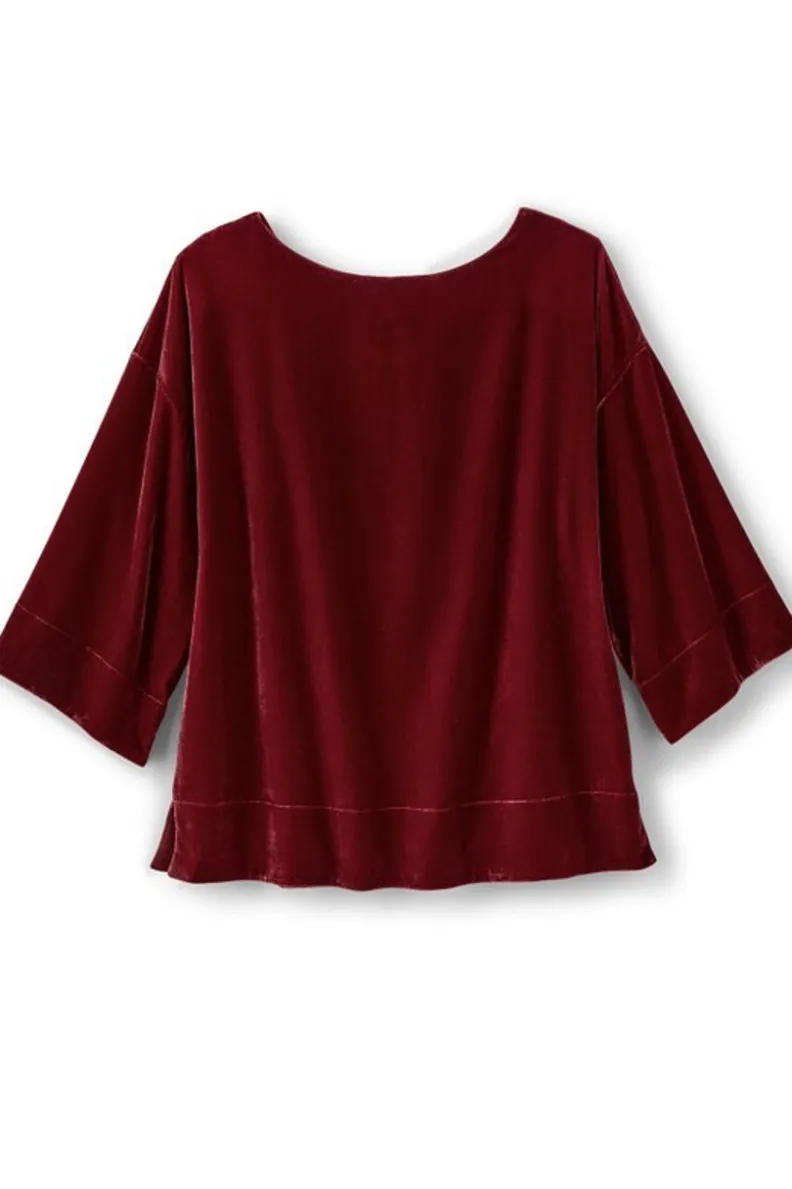 Best Soft Surroundings Aria Velvet Top