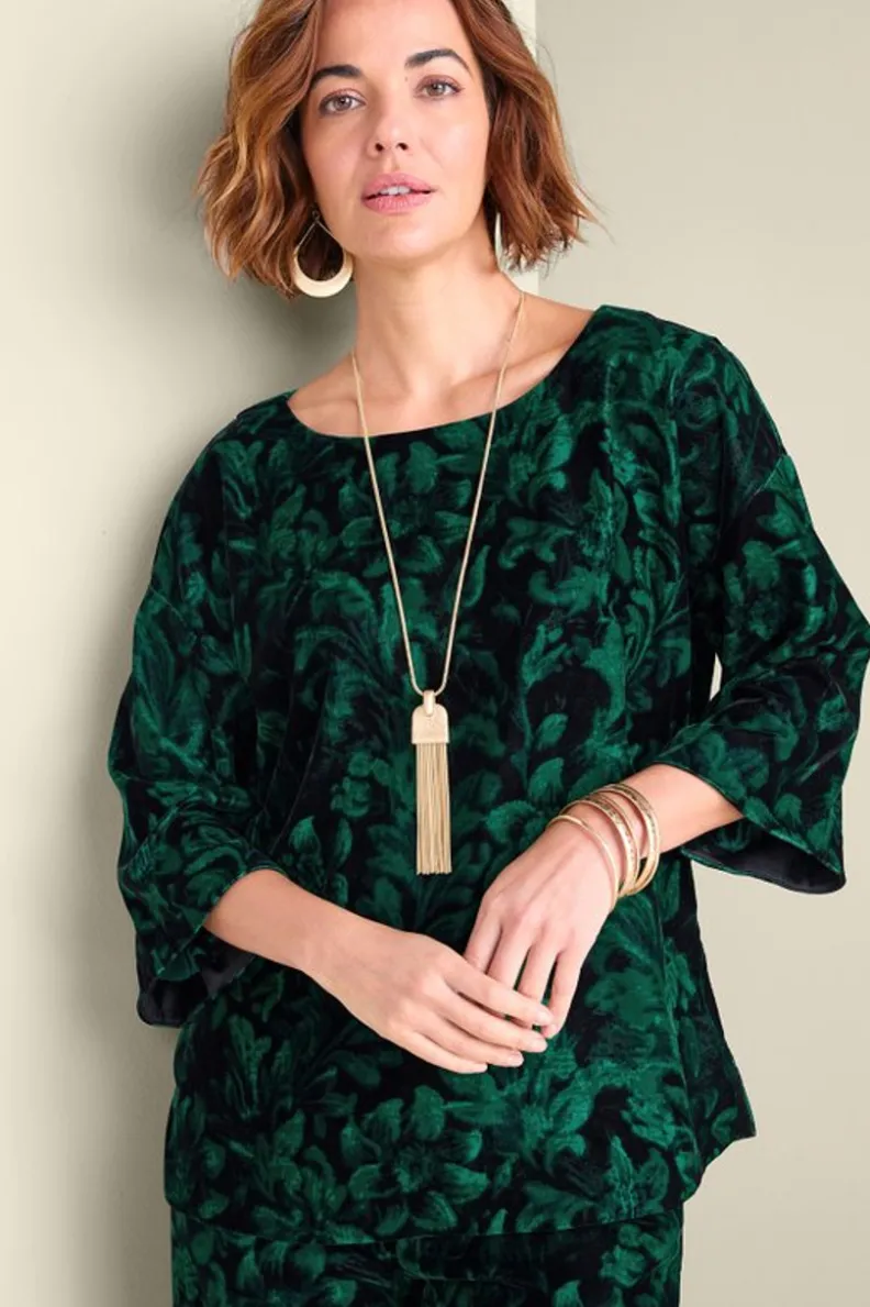 Best Soft Surroundings Aria Velvet Top