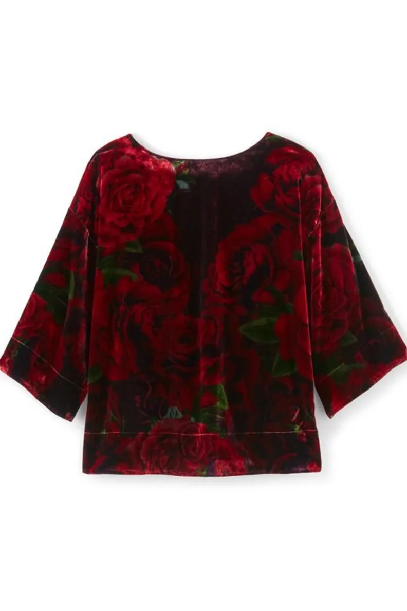 Best Soft Surroundings Aria Velvet Top