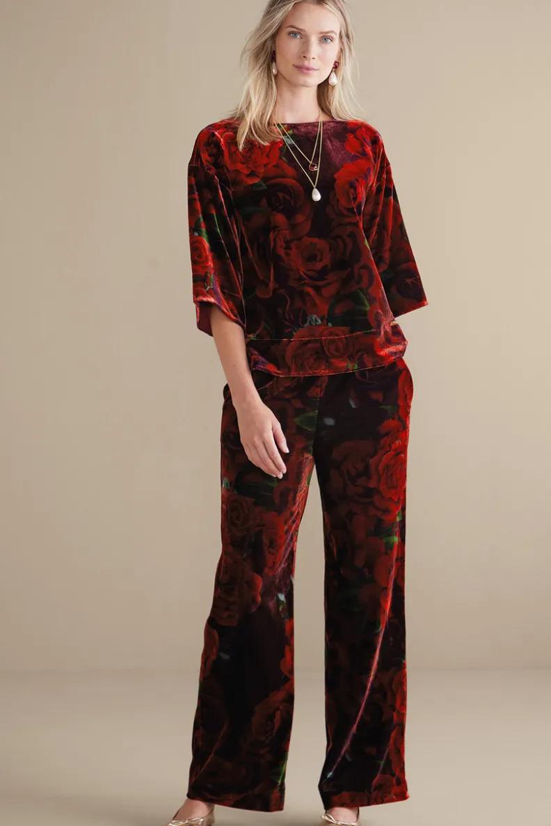 Best Soft Surroundings Aria Velvet Top