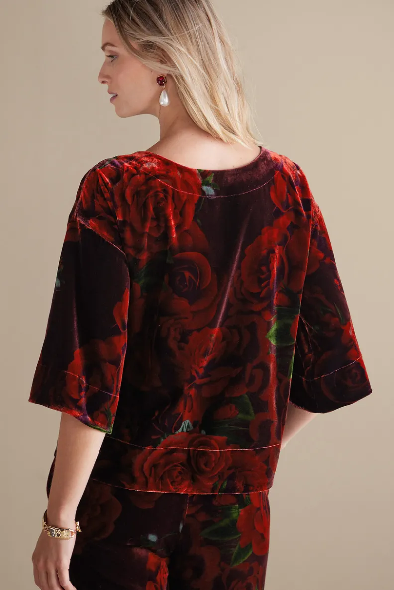 Best Soft Surroundings Aria Velvet Top