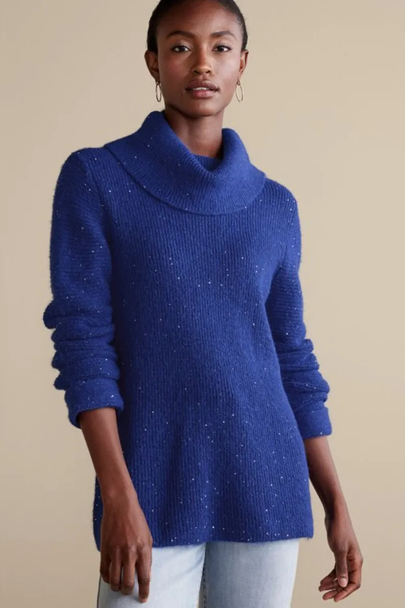 Clearance Soft Surroundings Linley Sequin Sweater